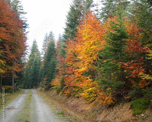 Jesienny pejza   w Beskidzie Niskim