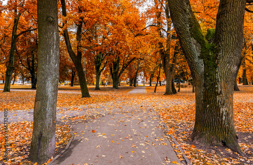 Old public garden park during a golden season of autumn