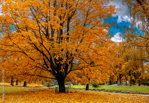 Autumn in central public park of Riga - the capital of Latvia, Baltic region,...