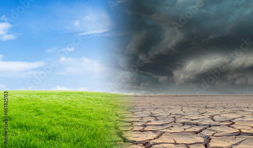 Landscape with green grass with a tree and a dried desert. Global climate change concept.