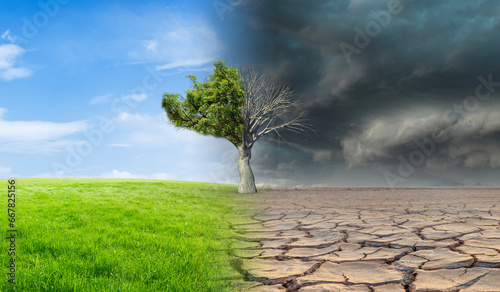 Landscape with green grass with a tree and a dried desert. Global climate change concept.