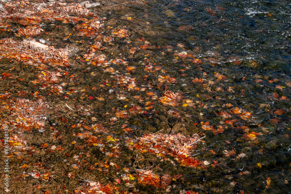 autumn river autumn river