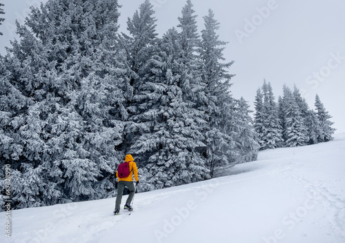 Lonely mountaineer dressed bright orange softshell jacket going up the snowy hill between spruces trees. Active people concept image on Velky Krivan, SLovakian Tatry. © Soloviova Liudmyla