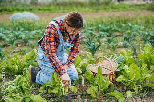 Mature latin woman gardening - Agriculture and harvest concept