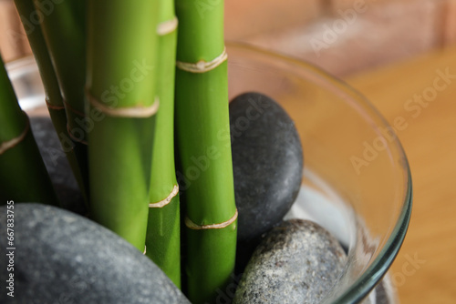 Vase with bamboo stems and stones  closeup