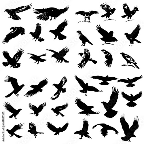 eagle svg  eagle png  eagle silhouette  eagle illustration  bird  animal  eagle  black  vector  illustration  nature  wildlife  silhouette  wings  feather  wild  raven  flying  wing  white  fly  crow 