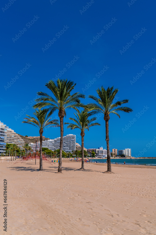 Cullera beach palm trees Spain beautiful spanish tourist destination on the Mediterranean Sea