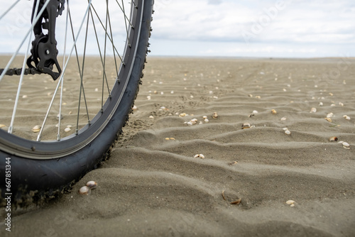 The wheel of a bicycle parked on a seashell-covered sandy beach, symbolizing the concept of biking in gloomy weather photo