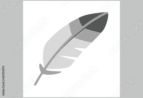 vector illustration of feathers