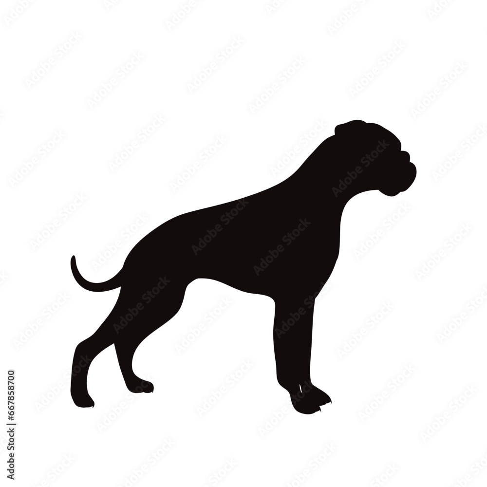 Vector silhouette of German boxer on white background. Symbol of pet and dog.