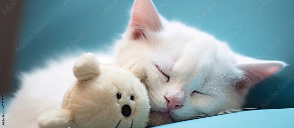 Obraz na płótnie White feline sleeps with toy w salonie