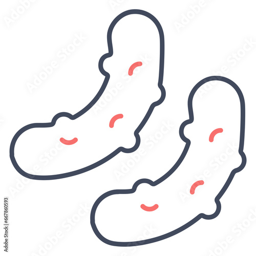 Pickle Icon