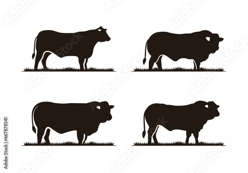 Limousin Cattle Angus and Grass Silhouette Logo Design