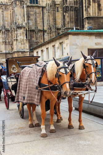 Photography Horse drawn carriage near St