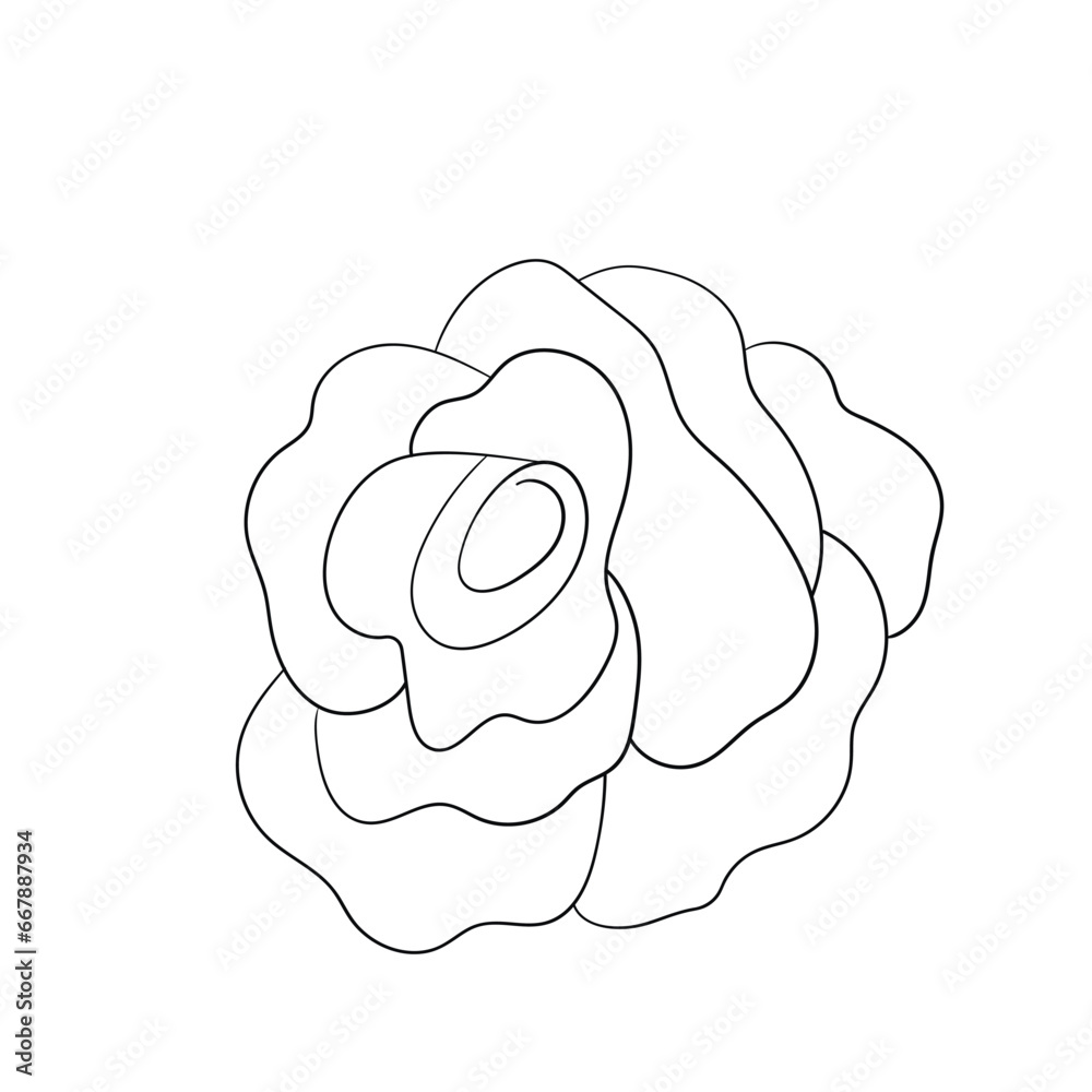 Floral silhouette art line. Flowers in continuous line drawing style. Border with tropical flower. Minimalist black linear sketch. Trendy vector illustration isolated. Contour graphics for design Floral silhouette art line. Flowers in continuous line drawing style. Border with tropical flower. Minimalist black linear sketch. Trendy vector illustration isolated. Contour graphics for design