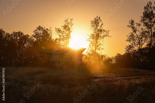 Mähdrescher im Gegenlicht der untergehenden Abendsonne auf einem Feld bei Rerik an der Ostseeküste - Inschriften wurden retuschiert photo