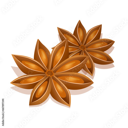 Star anise isolated on a white background 