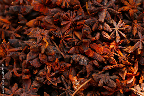 star anise, Illicium verum is a medium-sized evergreen tree native to northeast Vietnam and South China spice photo