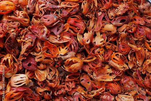 Fototapeta Naklejka Na Ścianę i Meble -  nut mace, Mace is the spice made from the reddish seed covering (aril) of the nutmeg seed. plant known as myristica fragrans