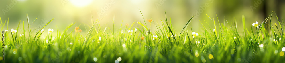 Fototapeta premium Wide grass and beautiful light background material