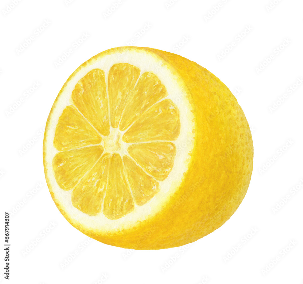 Close-up view watercolor illustration of a lemon, isolated on white background. Close-up view watercolor illustration of a lemon, isolated on white background.
