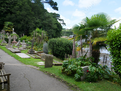 Alte Grabsteine unter Baumfarnen im malerischen Friedhof von St. Just in Roseland Church Cornwall England photo