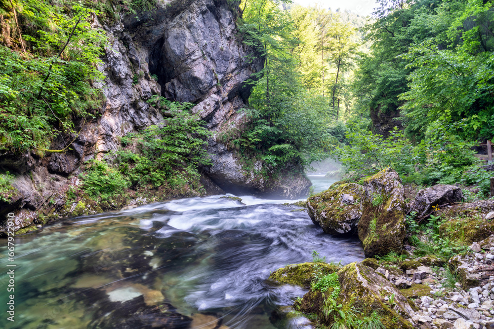 Fototapeta premium Vintgar Gorge, Slovenia