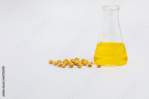 Soybeans with laboratory beaker. Genetically modified crops, soy oil, and biodiesel concept.