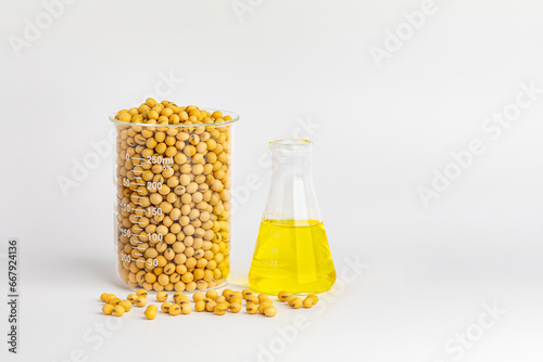 Quadro su tela Soybeans with laboratory beaker