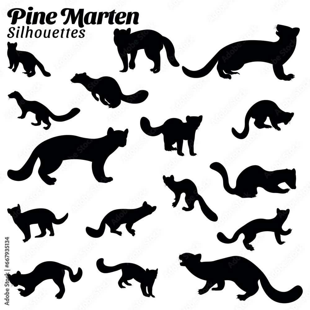 Vector illustration of silhouettes of pine marten animal set