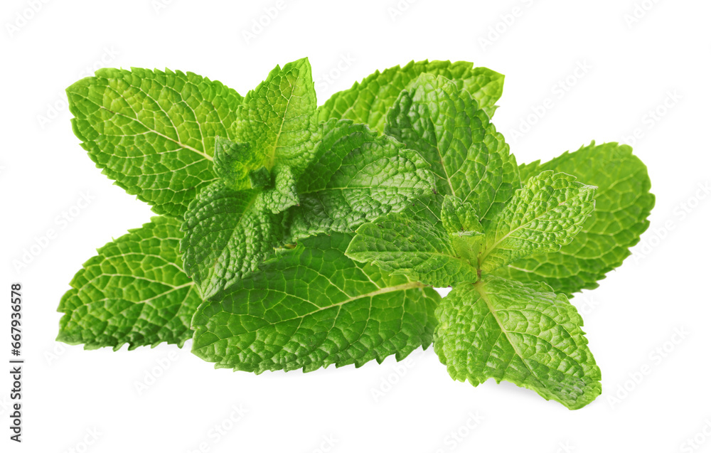 Fresh green mint leaves isolated on white Fresh green mint leaves isolated on white