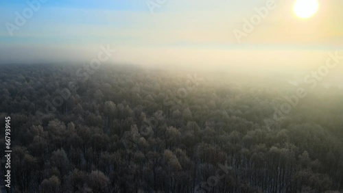 Aerial view of foggy morning over snow covered white forest with frozen trees in cold winter. Dense wild woodland in wintertime photo