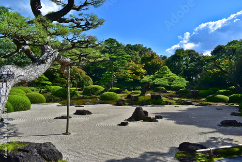 ダリア 日本庭園 島根 由志園 池泉天竺牡丹 