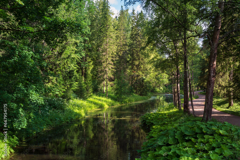 View of the alley in Pavlovsky Park on a sunny summer day, Pavlovsk, St. Petersburg, Russia