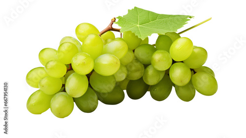 Fresh Green Wine Grapes Isolated on White Transparent Background - Lush Vineyard Harvest for Wine and Culinary Concepts, PNG