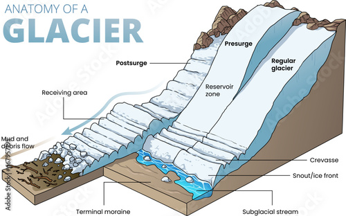 illustration of glacier cross section diagram