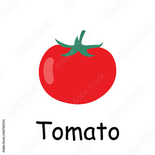 Tomato illustration flat vector. Vegetables flashcard. Element for kitchen, cooking, super market, healthy lifestyle concept.