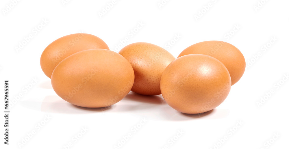 Chicken egg isolated on a white background. Chicken egg isolated on a white background.