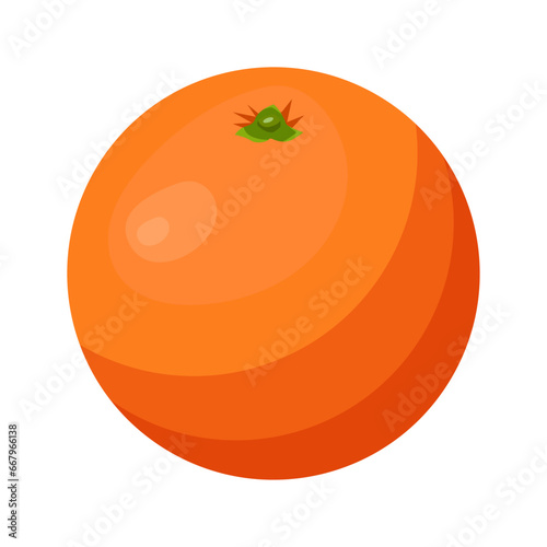 sweet citrus fruit vector illustration.