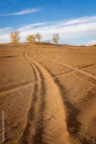 Desert landscape with sand dunes and autumn foliage trees.