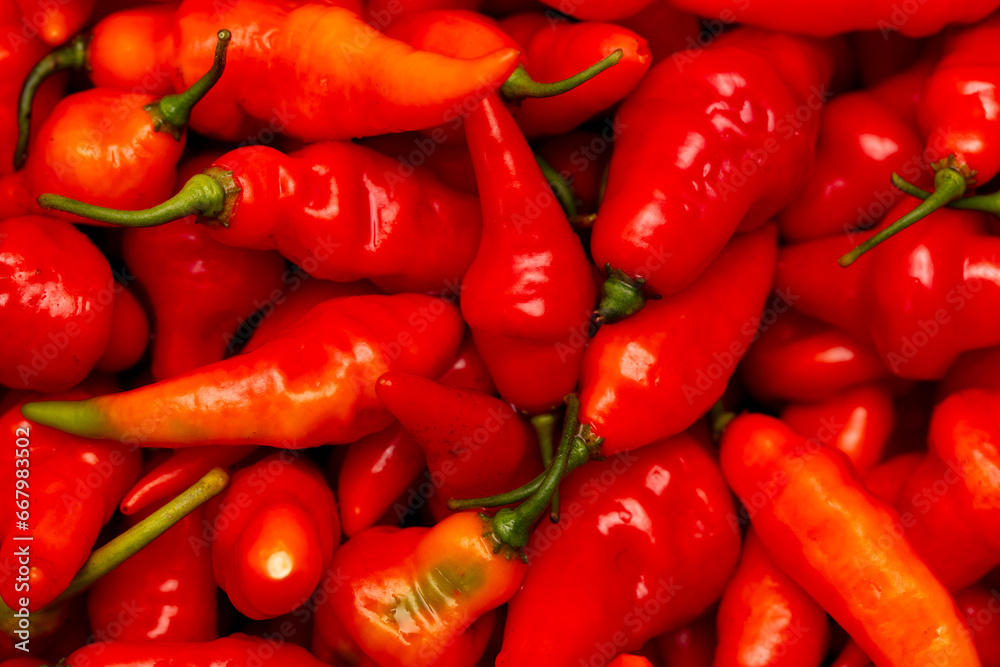 Red chili peppers as background. Close-up Red chili peppers as background. Close-up