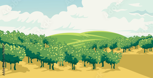 vector agricultural design with grape plants behind beautiful mountains 