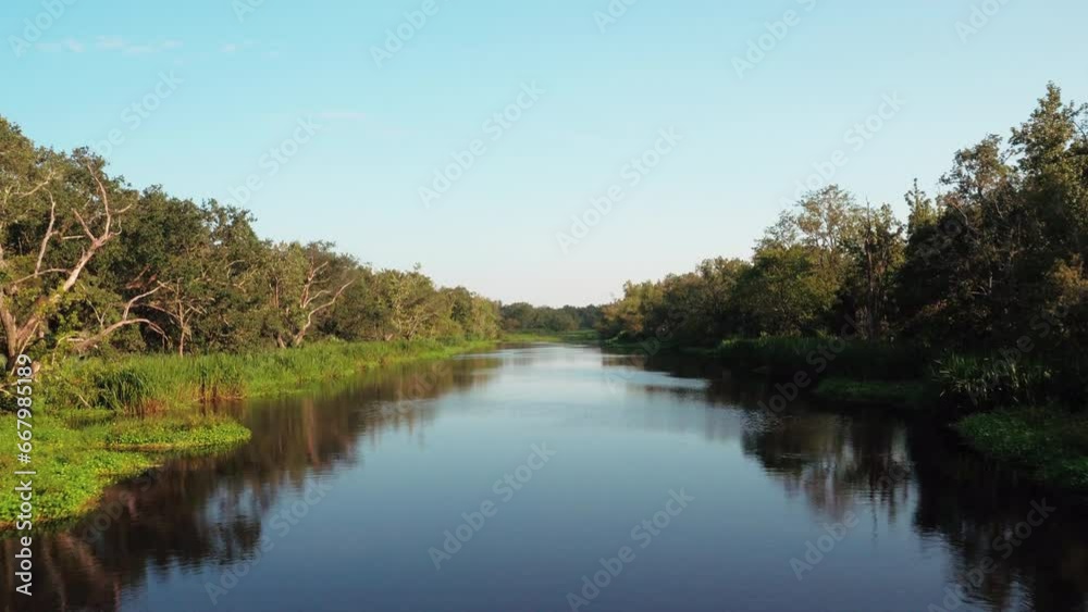 Aerial: Drone Flying Forward Over Atchafalaya River Amidst Green Plants And Trees Against Sky - Bayou, Louisiana Aerial: Drone Flying Forward Over Atchafalaya River Amidst Green Plants And Trees Against Sky - Bayou, Louisiana