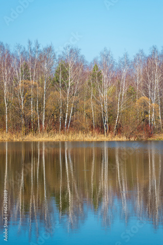 Trees on a lake at Spring time