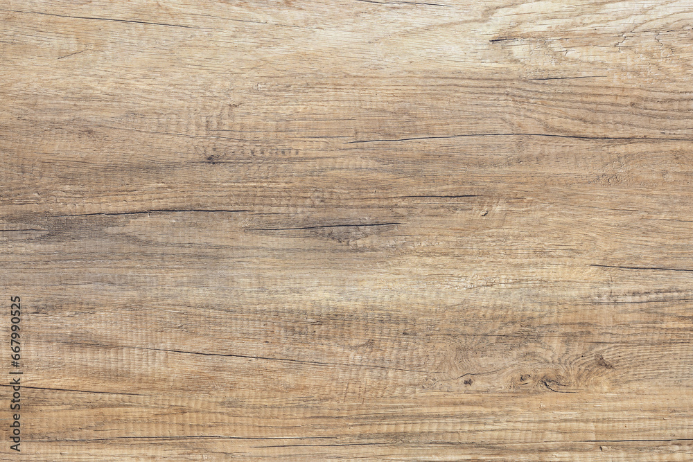 The background and texture of an aged board with cracks and expressive grains. The background and texture of an aged board with cracks and expressive grains.