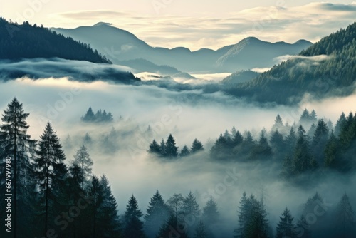 Foggy morning in the Carpathian mountains, Ukraine, Photo realistic illustration of mountains forest fog morning mystic, AI Generated