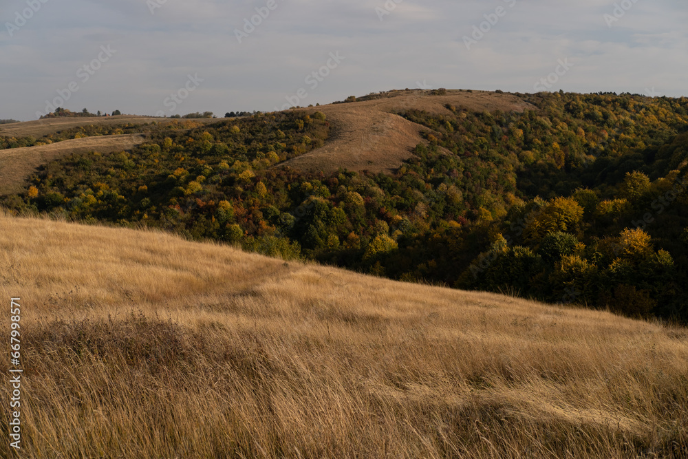 Fototapeta premium Beautiful autumn rural landscape. Countryside mountain scenery at sunset. Fields and meadow on rolling hills with golden light.