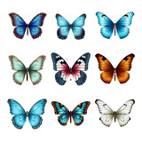 Collection of beautiful butterflies on transparent background PNG