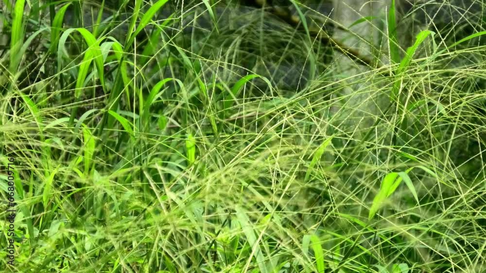 Nature is always very dynamic Nature is always very dynamic