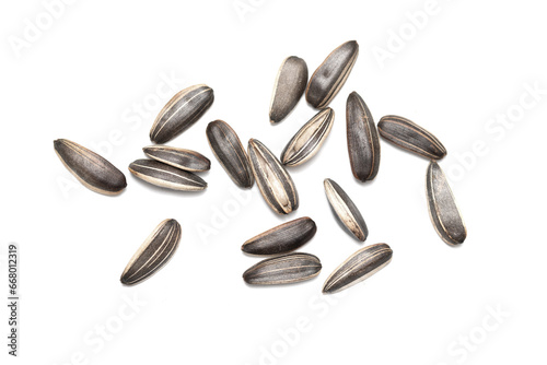 Sunflower seeds on a white background. Photo.